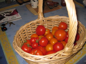 2009 Tomato Bounty