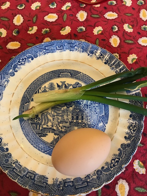 Blue and white plate with two spring onions, and an egg, on a red tablecloth. 